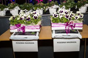 004_Postojna v cvetju_Foto atelje Postojna